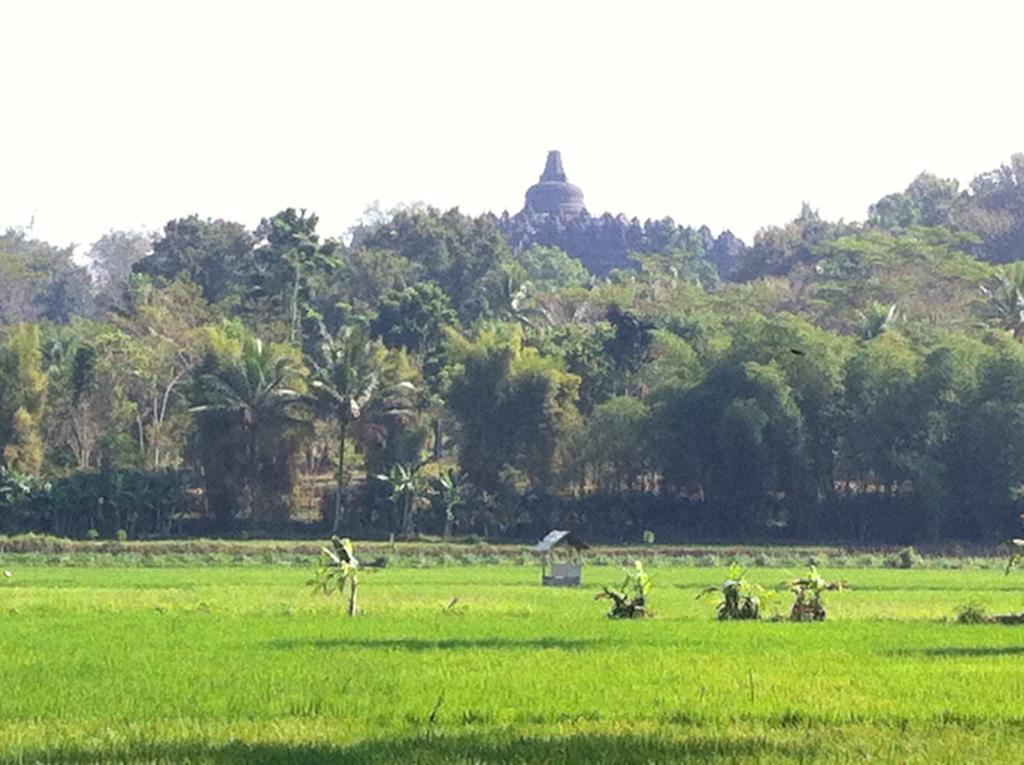 Anugrah Borobudur Magelang Exterior foto